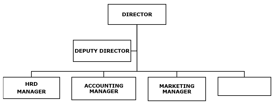 ORGANIZATIONAL STRUCTURE